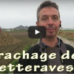 L’arrachage des betteraves expliqué en vidéo