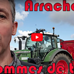 L’arrachage des pommes de terre