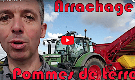 L’arrachage des pommes de terre