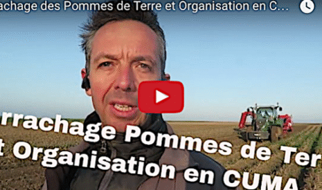 Arrachage des pommes de terre et organisation en Cuma