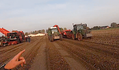 Arrachage de pommes de terre dans des conditions difficiles