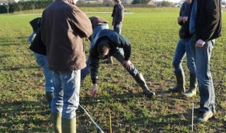 Le rôle de l’enseignement agricole dans l’amélioration des pratiques culturales