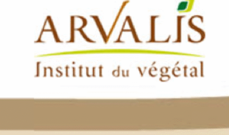 Irrigation, à la recherche des ressources