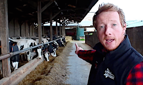 Une astuce d’éleveur pour nourrir les vaches sans effort