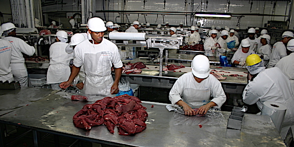 atelier de d coupe viande br sil