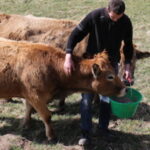 Jeunes de Lozère, les démarches de l’espoir