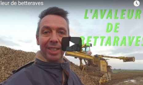 Comment fonctionne l’avaleur de betteraves