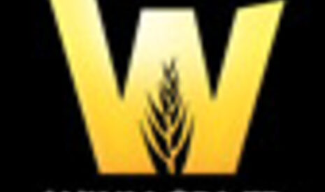 DataConnect est maintenant en ligne