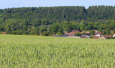 Bail rural et Covid-19, report des délais