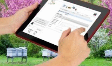 Bee-Secured, des ruches intelligentes prêtes à faire le buzz