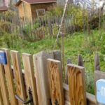 Des start up agricoles pour nourrir les Parisiens