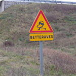 Les maladies de la betterave