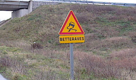 Les maladies de la betterave