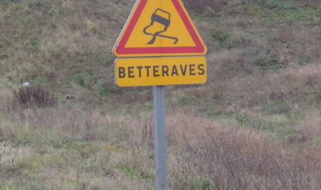 L’avancée possible de la date de fin des quotas betteraviers fait peur aux producteurs