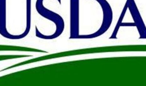 Marchés céréaliers, les ajustements de l’USDA