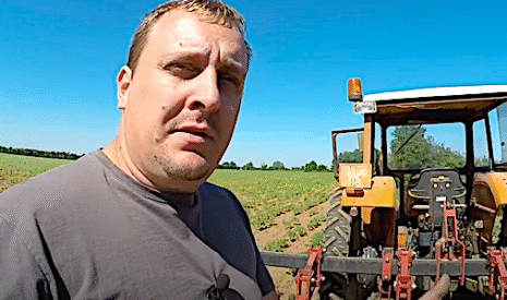 Le binage des tournesols dans la Vienne