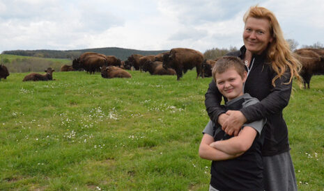 Pas d’élevage de bisons sans passion