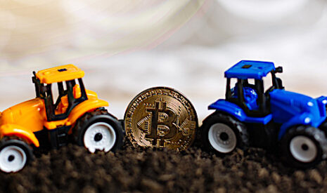 Insolite, comment un agriculteur russe a renforcé son marché local en créant une cryptomonnaie