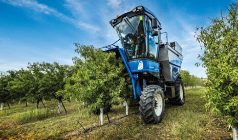 New Holland lance la machine à vendanger Braud 11.90 X Multi, haute capacité, pour les vergers haute densité