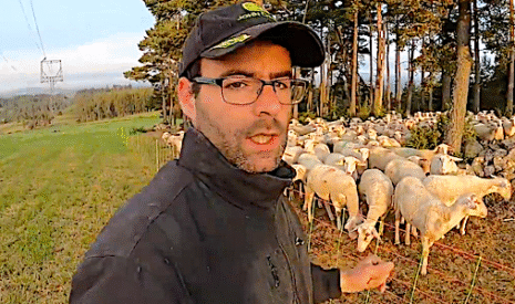 Un bouc chez les brebis, dernière révision avant les foins