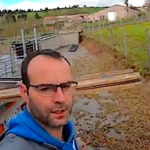 Les brebis s’ouvrent un passage… Au boulot !