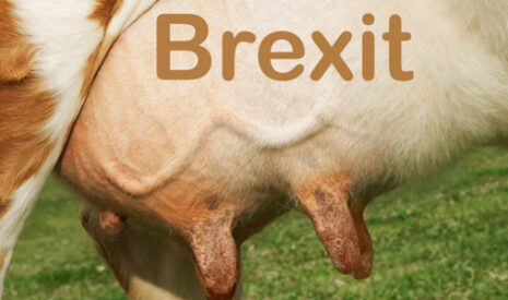 L’après Brexit sur les marchés du lait et de la viande pour l’Union européenne