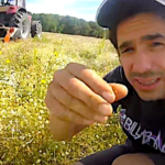 Broyage des mauvaises herbes avant le déchaumage