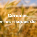 C’est tout au long du cycle qu’il faut donner à ses cultures le potentiel de faire face si les conditions météorologiques amenaient un risque de verse.