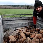 J’enlève pierres et cailloux de mon champ d’orge