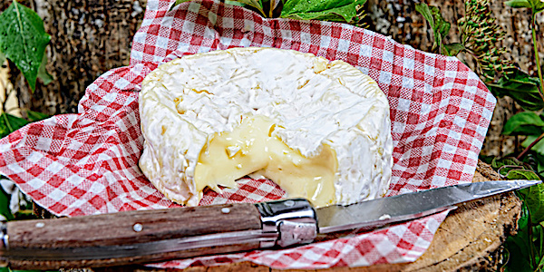 camembert fromage lait