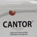 L’adjuvant Cantor passé au banc d’essai