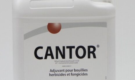 L’adjuvant Cantor passé au banc d’essai