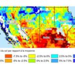 Le canola canadien en mauvaise posture