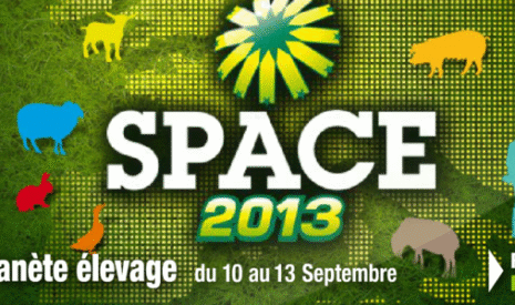 Le Space entre crise et réalités