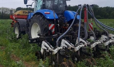 Tournesol : ils osent les TCS