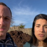 Fumier dans les vignes