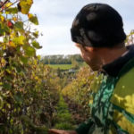 Travail du sol : on prépare l’hiver 2021