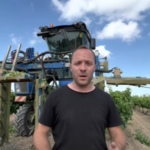Travail de la vigne