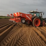 Plantations de Pommes de Terre
