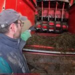 Un tapis de machine à distribuer l’alimentation d’un troupeau de brebis se met en travers