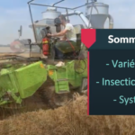 Gestion des insectes et des maladies