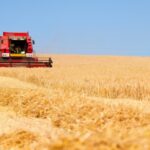 Assolement 2023, des engrais trois fois plus chers qu’en 2021