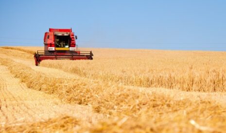 Assolement 2023, des engrais trois fois plus chers qu’en 2021