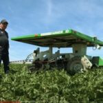 Farmdroid FD20 sème et bine à l’aveugle en toute autonomie