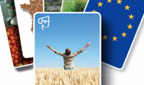 Contrat de projet Etat Région, laissons la Bretagne s’exprimer !
