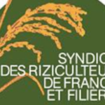 La riziculture et l’élevage camarguais en péril !
