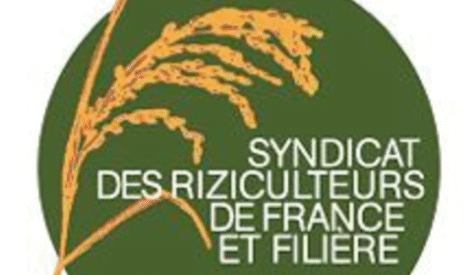La riziculture et l&rsquo;élevage camarguais en péril !