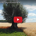 Quand Catherine Deneuve assure la promotion de l’agroforesterie