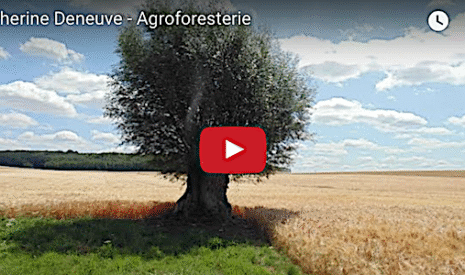 Quand Catherine Deneuve assure la promotion de l’agroforesterie