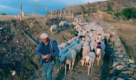 Quand l’agriculture est reconnue par l’Unesco